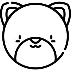 美洲狮