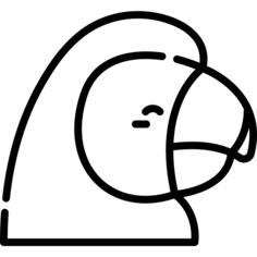 Macaw