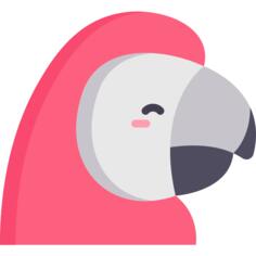 Macaw