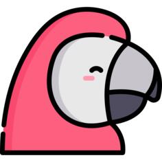 Macaw