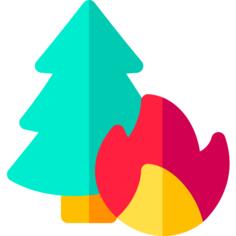 Forest on fire