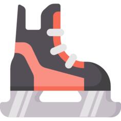Ice skates