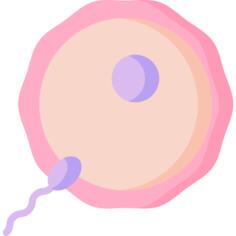 Ovum