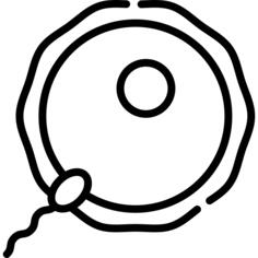 Ovum