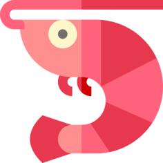 Shrimp
