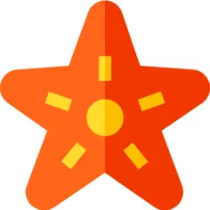 海星