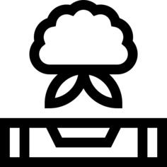 Vegetable box