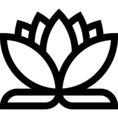 Lotus flower