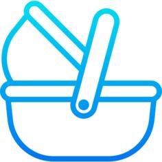 Moses basket