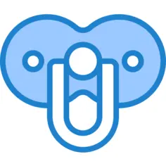 Pacifier
