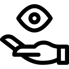 眼睛