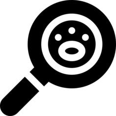 Search