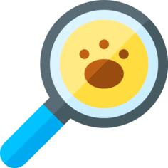 Search