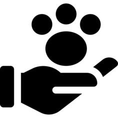 Pet insurance