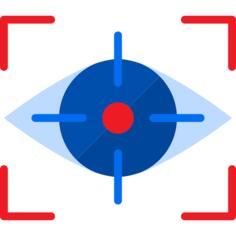 Vision