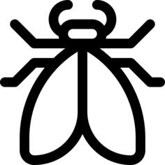 Moth