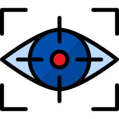 Vision