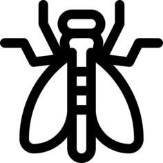 Moth