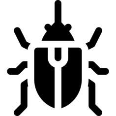 Beetle