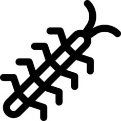 Centipede