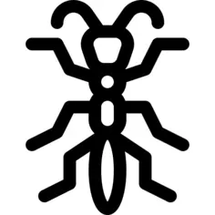 树龙虾