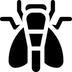 Moth