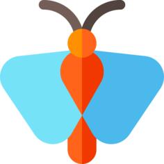 Moth