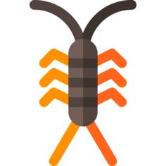 Centipede