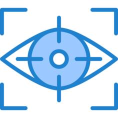 Vision