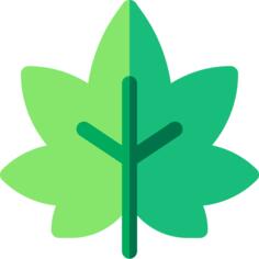 Weed