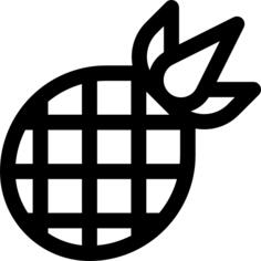 菠萝