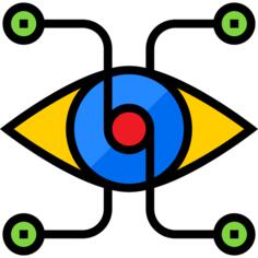 Vision