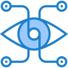 Vision