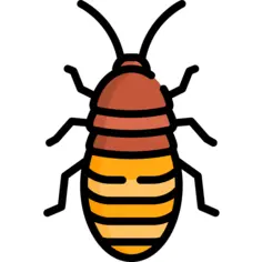 Madagascar hissing cockroach