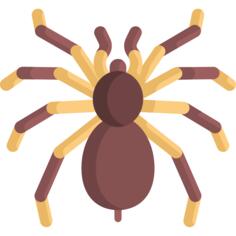 Tarantula