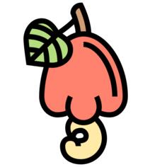 Cashew