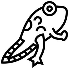 蝌蚪