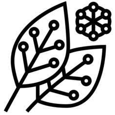 Leaf