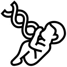 Fetus