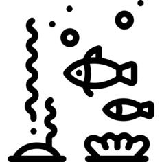Sea life