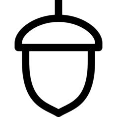 Acorn