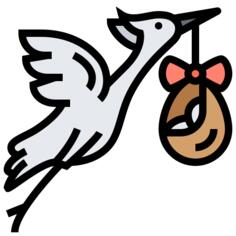 Bird stork