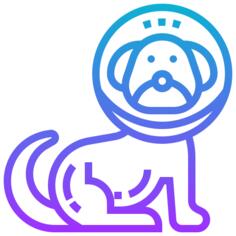 狗