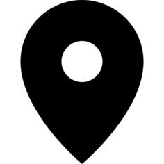 Pin