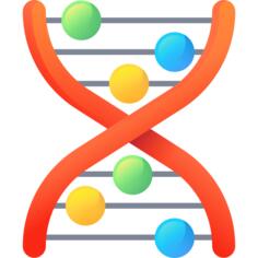 Dna