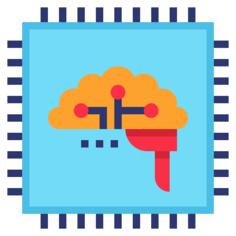Brain