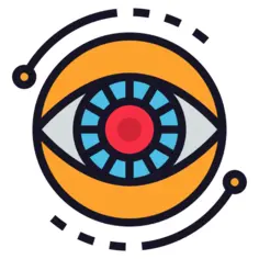 Vision