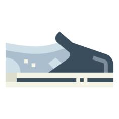Shoe