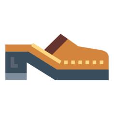 Shoe