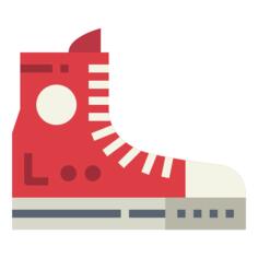Shoe